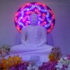 புதிய அலுவலக புத்தர் சன்னதி திறக்கப்பட்டது